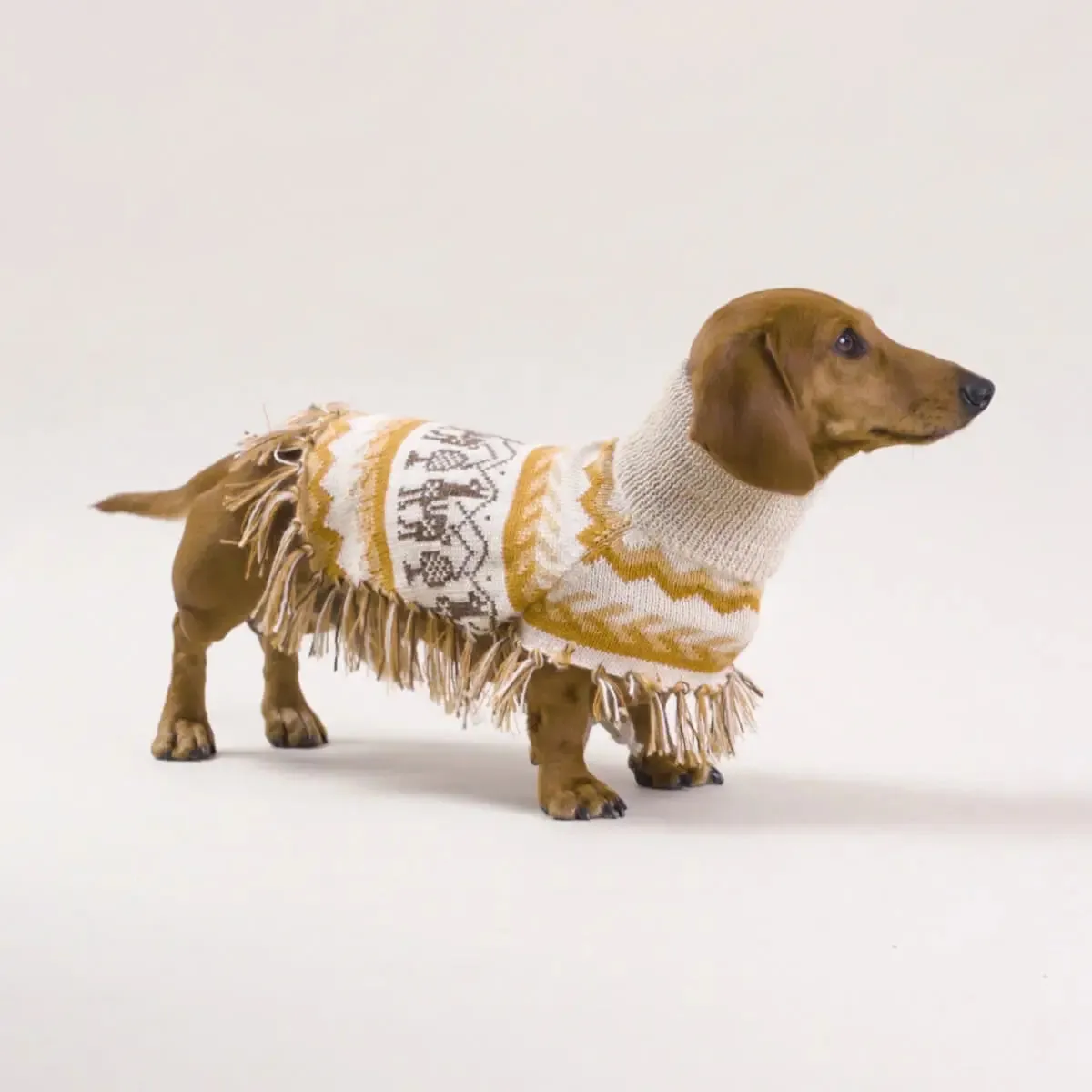 Alqo Wasi - Llama Natural Alpaca Dog Poncho