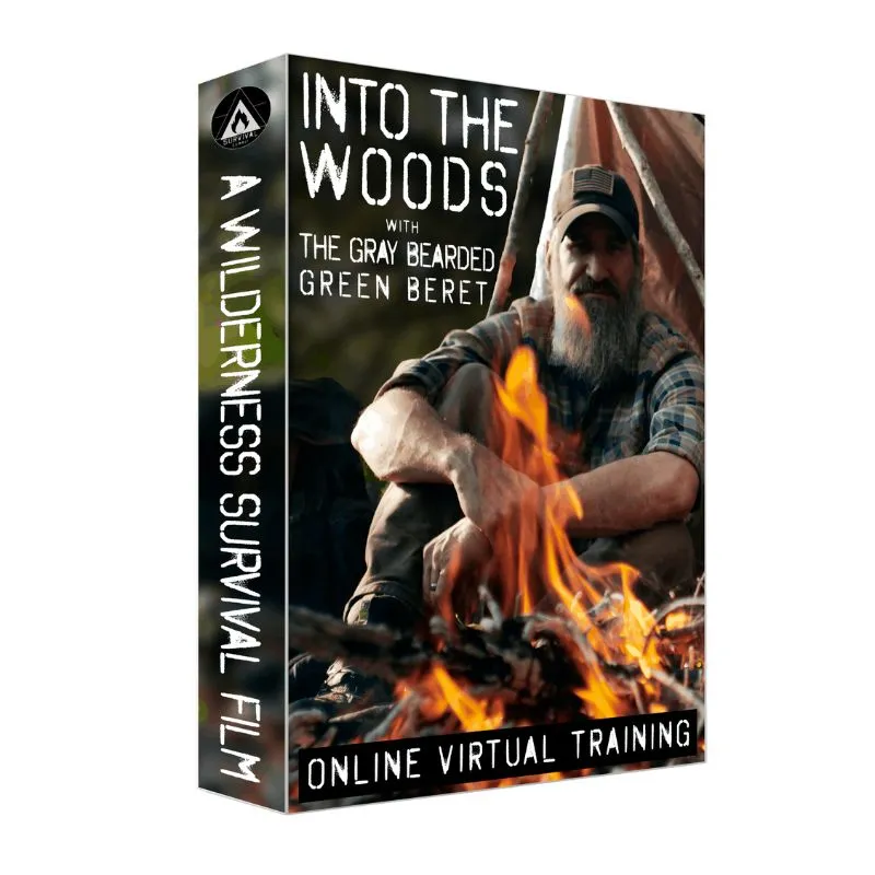 Into the Woods DVD or USB