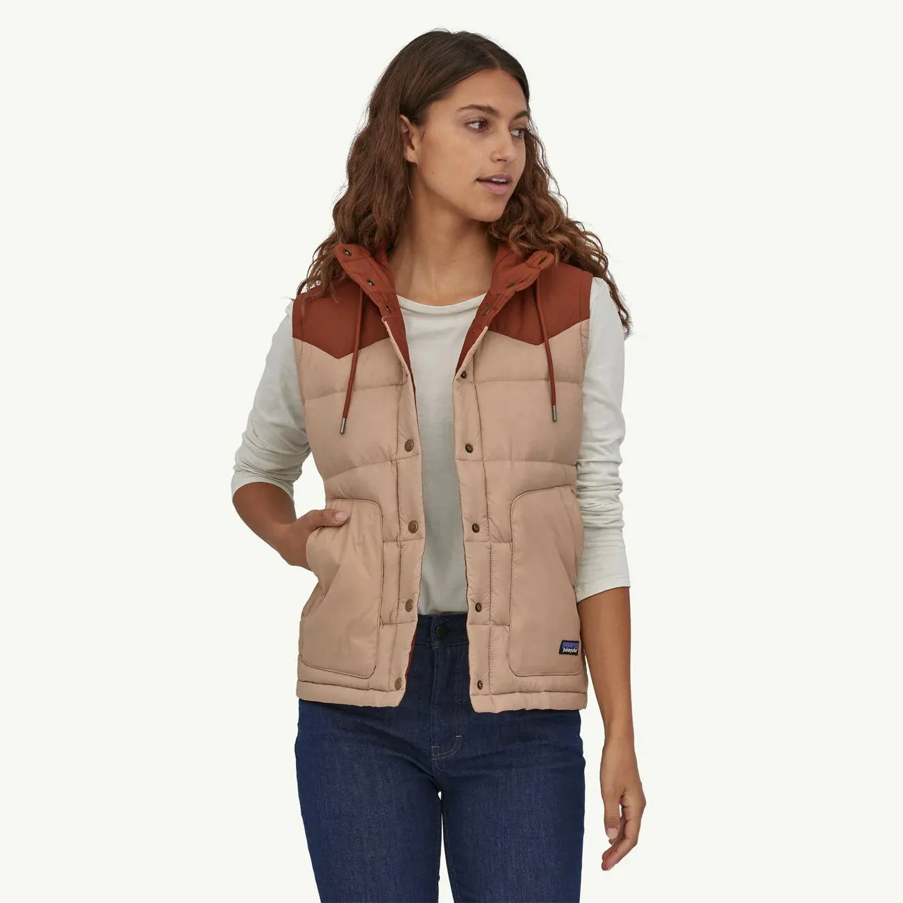 Patagonia Women's Bivy Hooded Vest